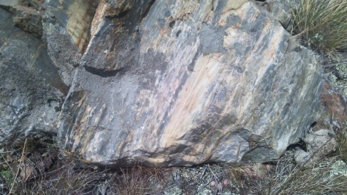 Гигантские зелёные валуны для ландшафтного дизайна весом более 5 тонн купить в Краснодарском крае