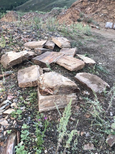 Пошаговая дорожка из плит златолит кора дерева купить в Краснодарском крае